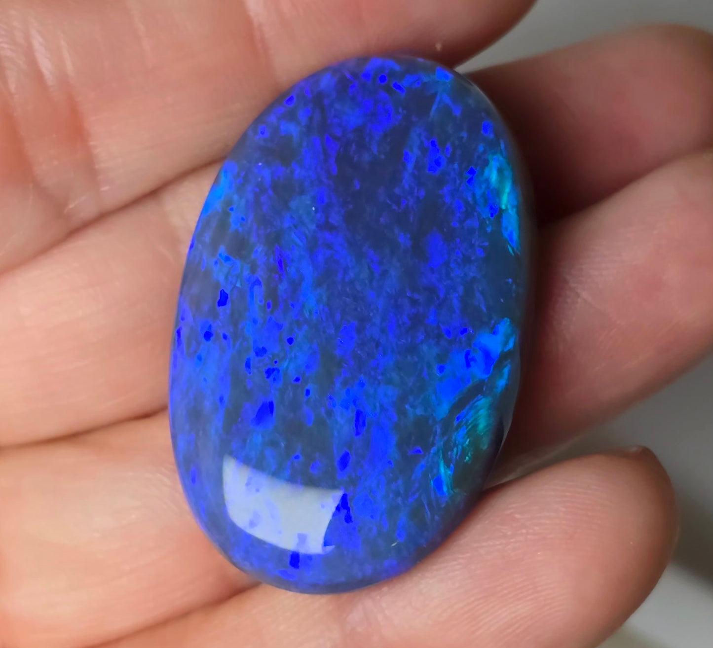 Huge Royal Blue Black Opal 50.80 Cts