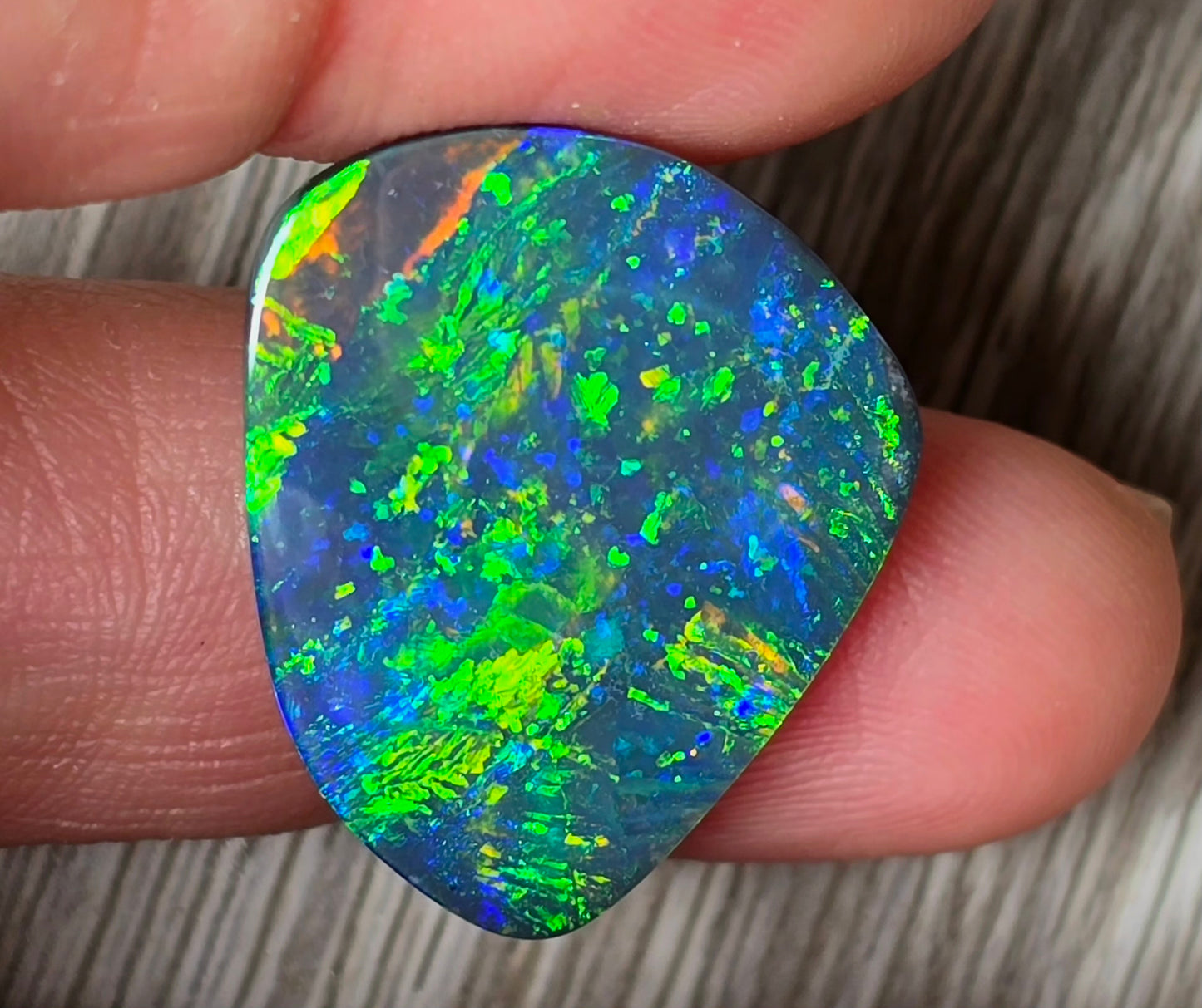 Super Gem Black Opal 12.750 Carats