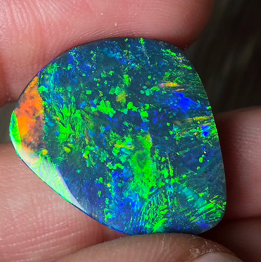 Super Gem Black Opal 12.750 Carats