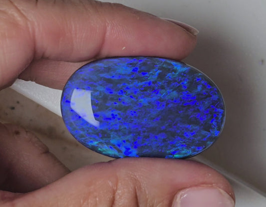 Huge Royal Blue Black Opal 50.80 Cts